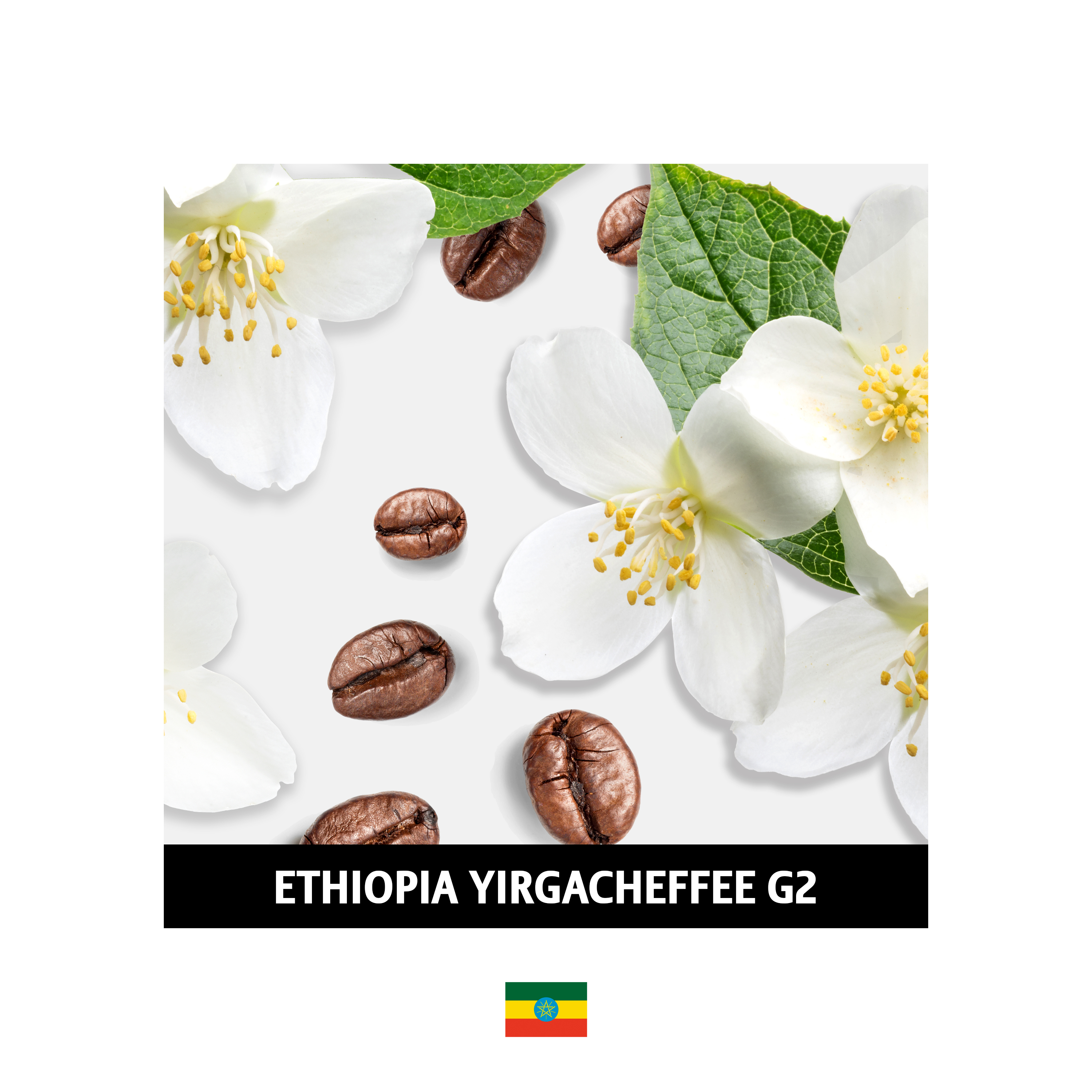 Cafe de Jura 싱글오리진 에티오피아 예가체프 G2 200g